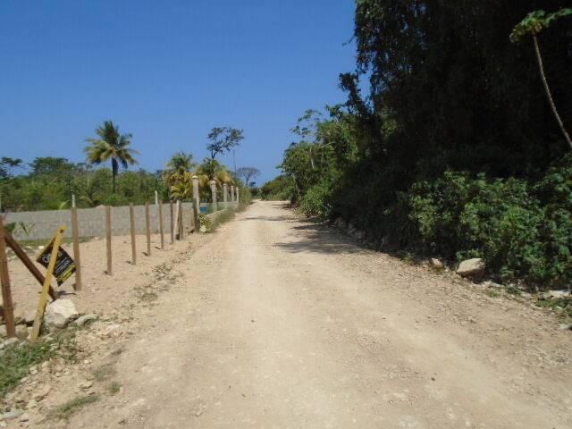 listing image with ID 64458