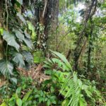 listing image thumbnail with ID 64902