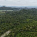 listing image thumbnail with ID 65440