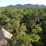 listing image thumbnail with ID 65524