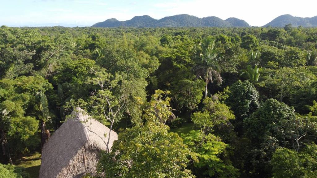 listing image with ID 65524