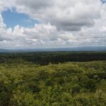 listing image thumbnail with ID 64221