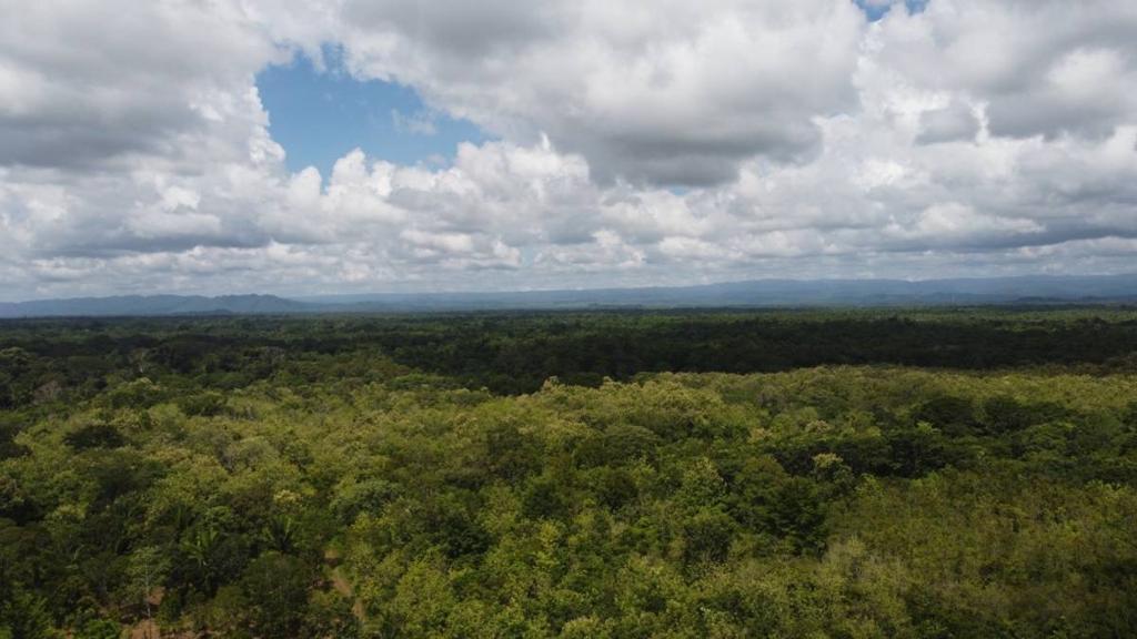 listing image with ID 64221