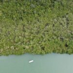 listing image thumbnail with ID 67838