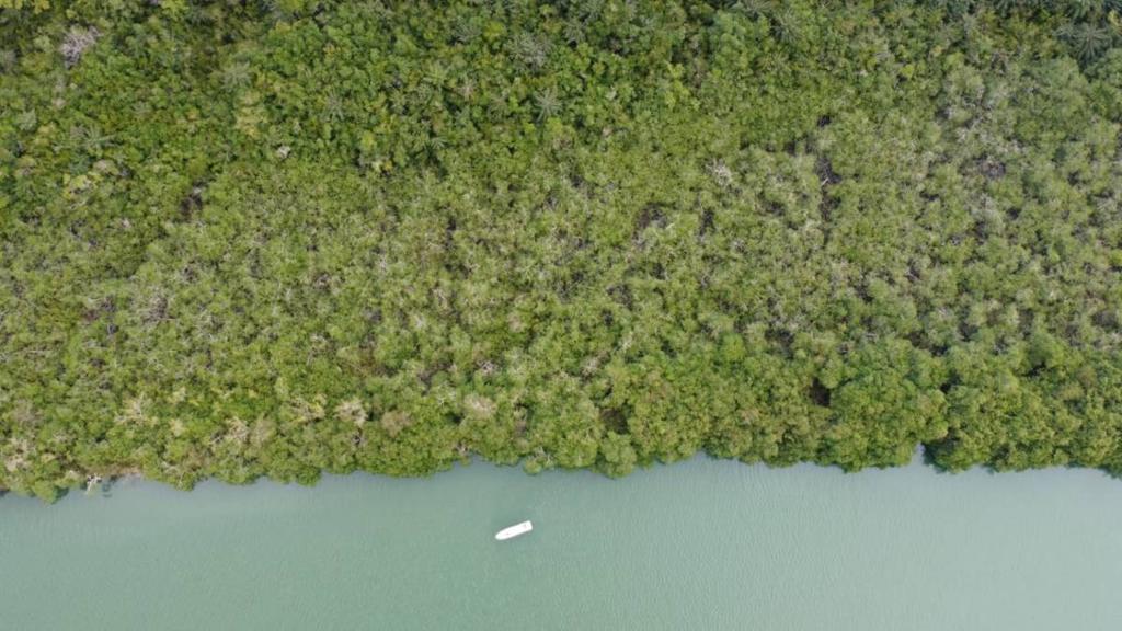 listing image with ID 67838