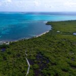 listing image thumbnail with ID 65976