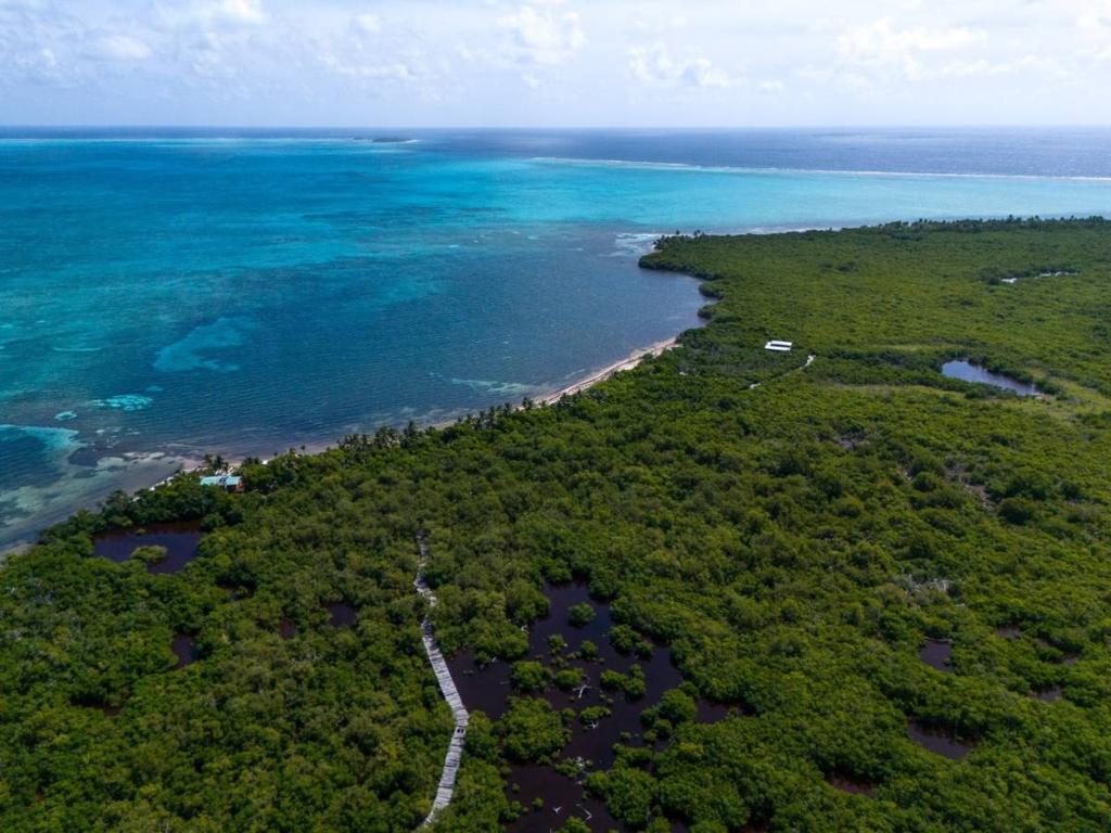 listing image with ID 65976