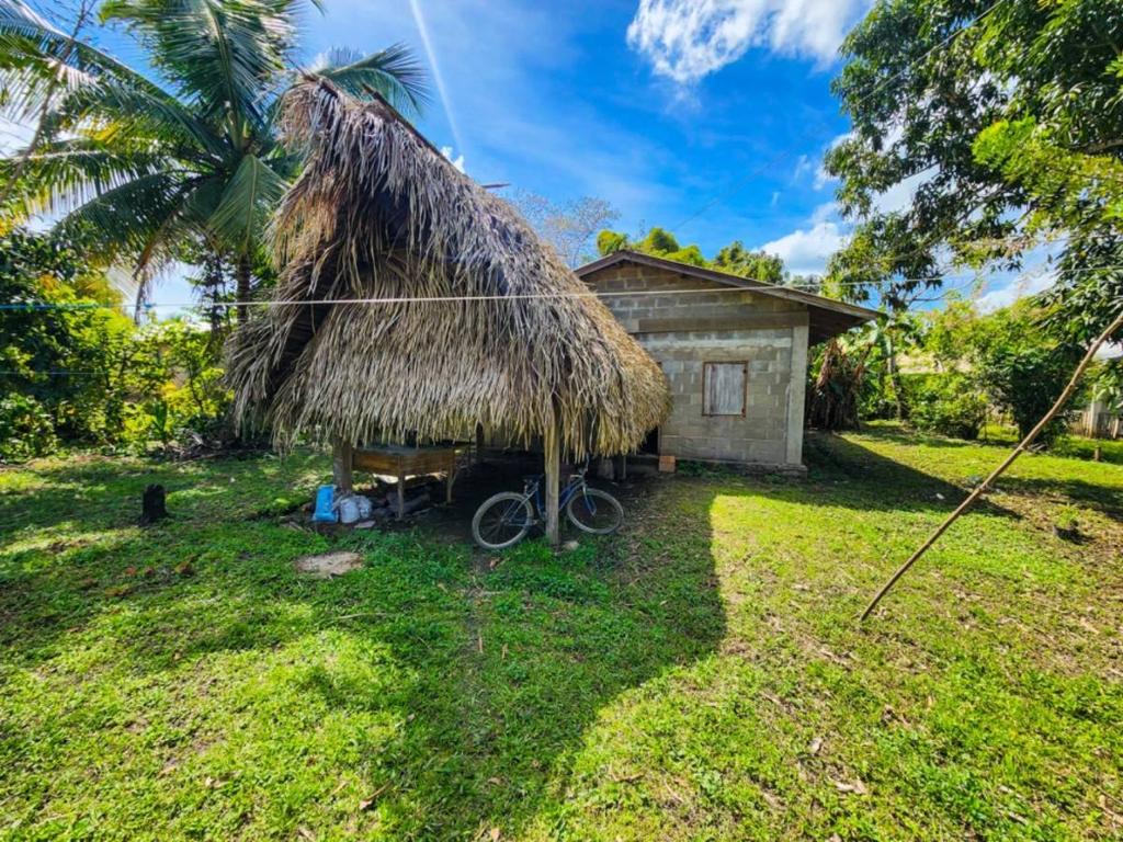 listing image with ID 64390