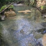 listing image thumbnail with ID 66895