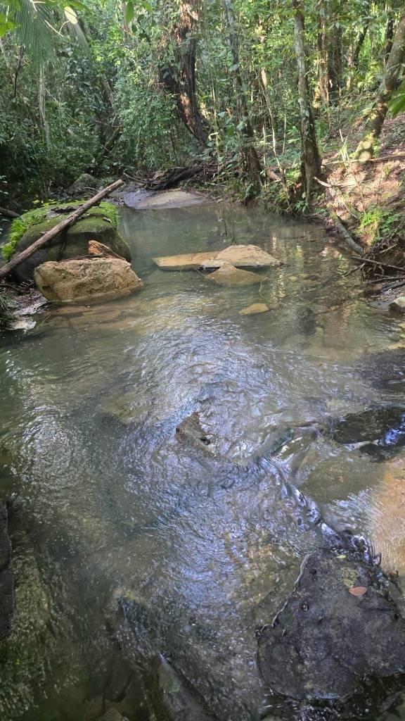 listing image with ID 66895