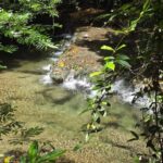 listing image thumbnail with ID 68287