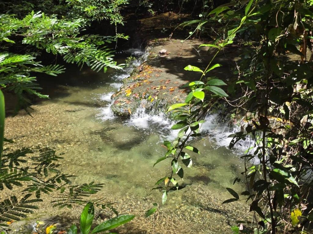 listing image with ID 68287