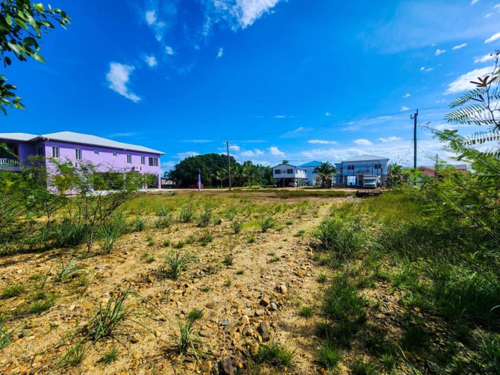 listing image with ID 63599