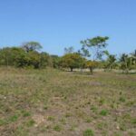 listing image thumbnail with ID 64452