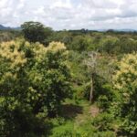 listing image thumbnail with ID 64217