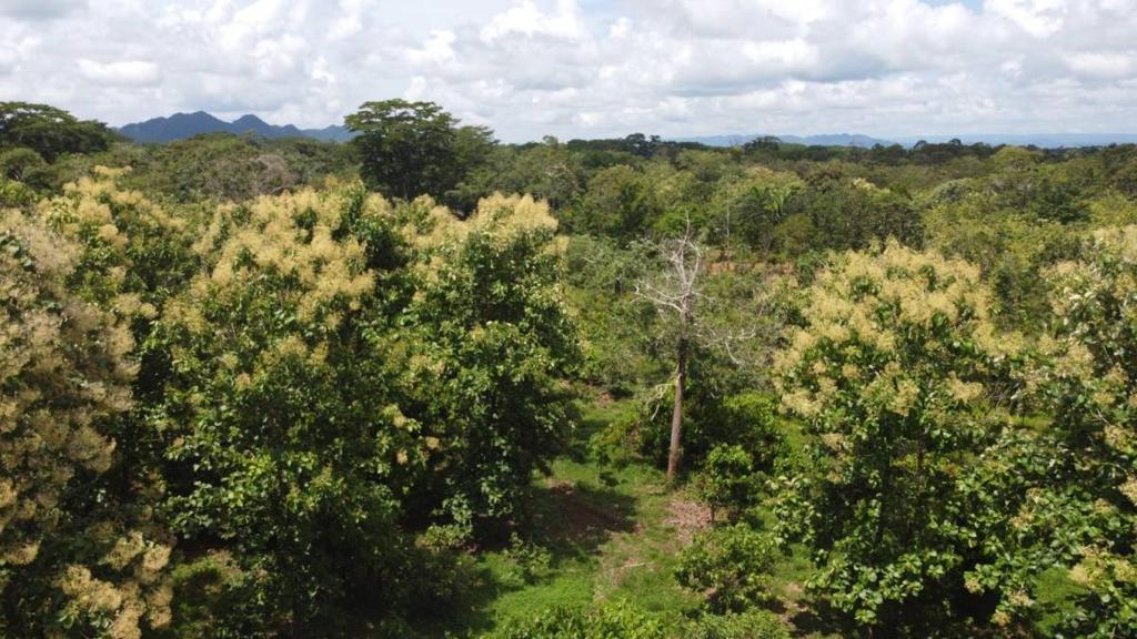 listing image with ID 64217