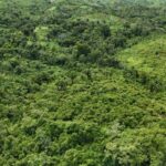 listing image thumbnail with ID 66681