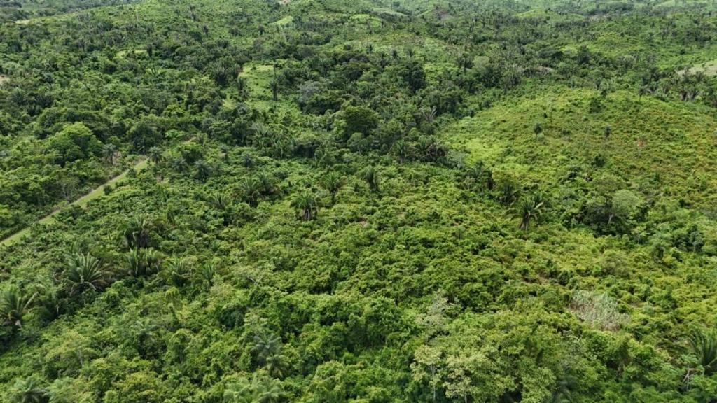 listing image with ID 66681