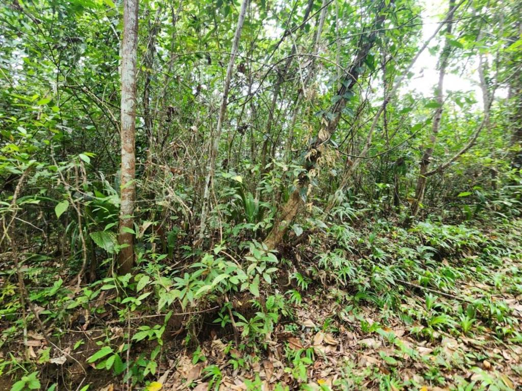 listing image with ID 64903