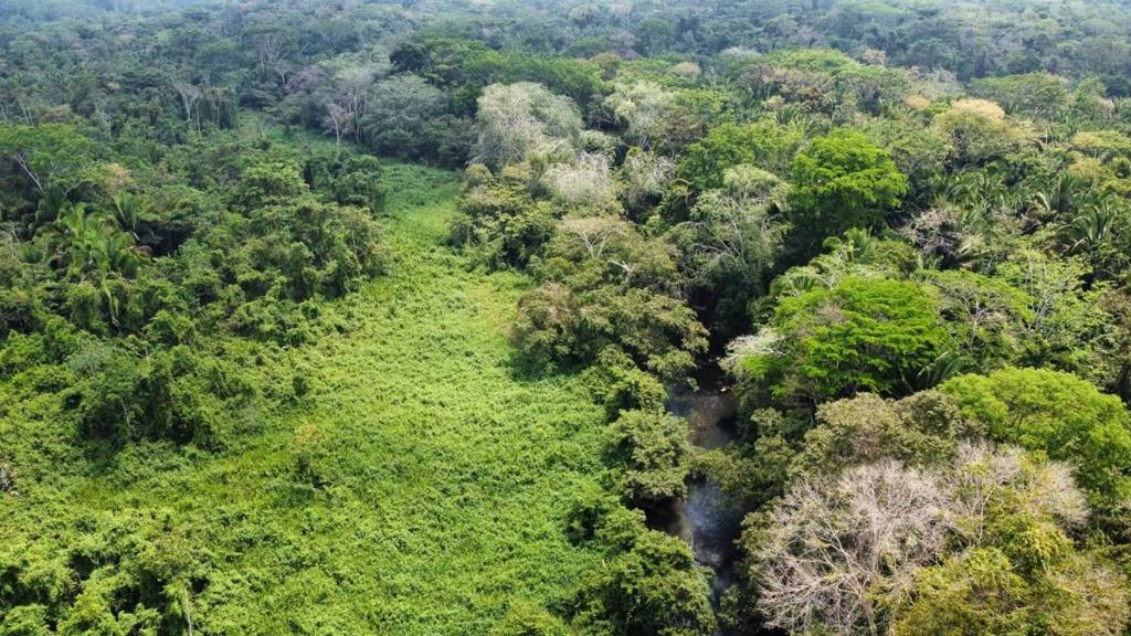 listing image with ID 64883