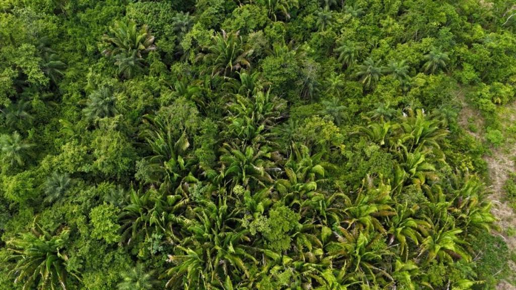 listing image with ID 66667