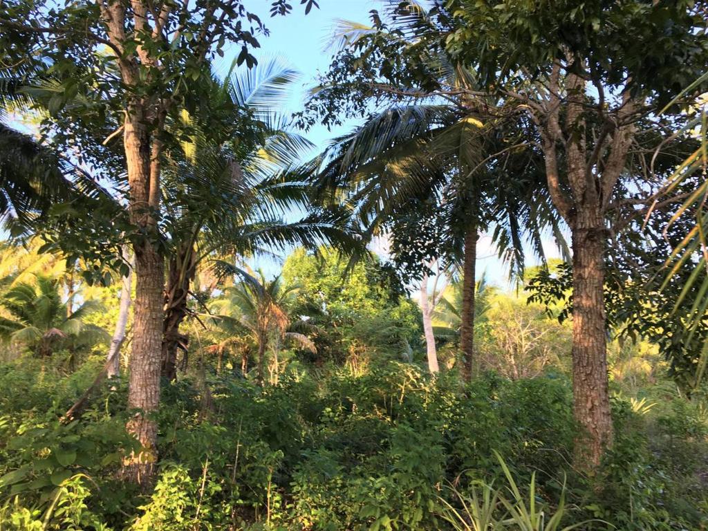 listing image with ID 64913