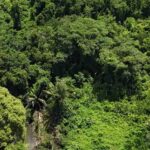 listing image thumbnail with ID 65232