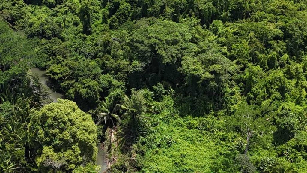 listing image with ID 65232