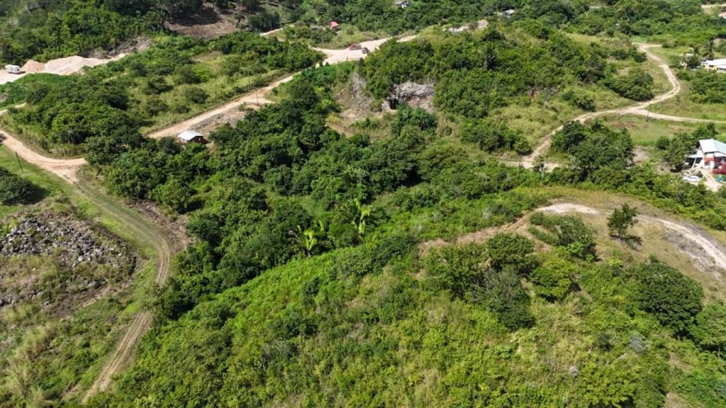 listing image with ID 63678