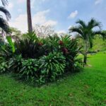 listing image thumbnail with ID 67369