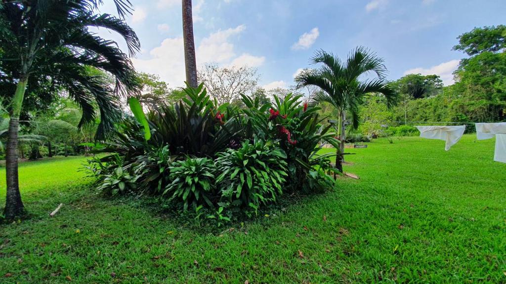 listing image with ID 67369