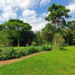 listing image thumbnail with ID 67352