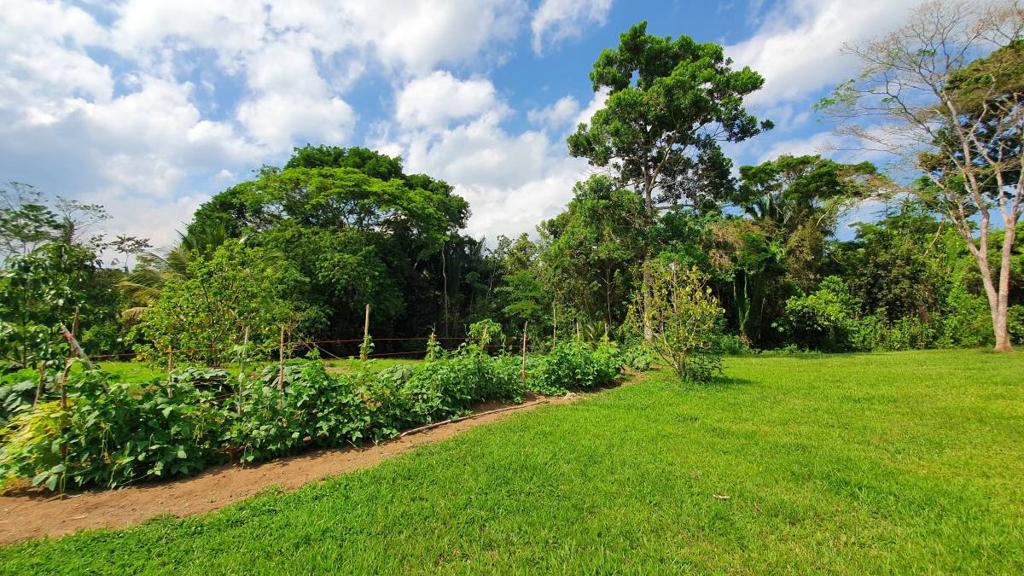 listing image with ID 67352