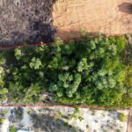 listing image thumbnail with ID 63848