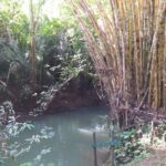 listing image thumbnail with ID 65530