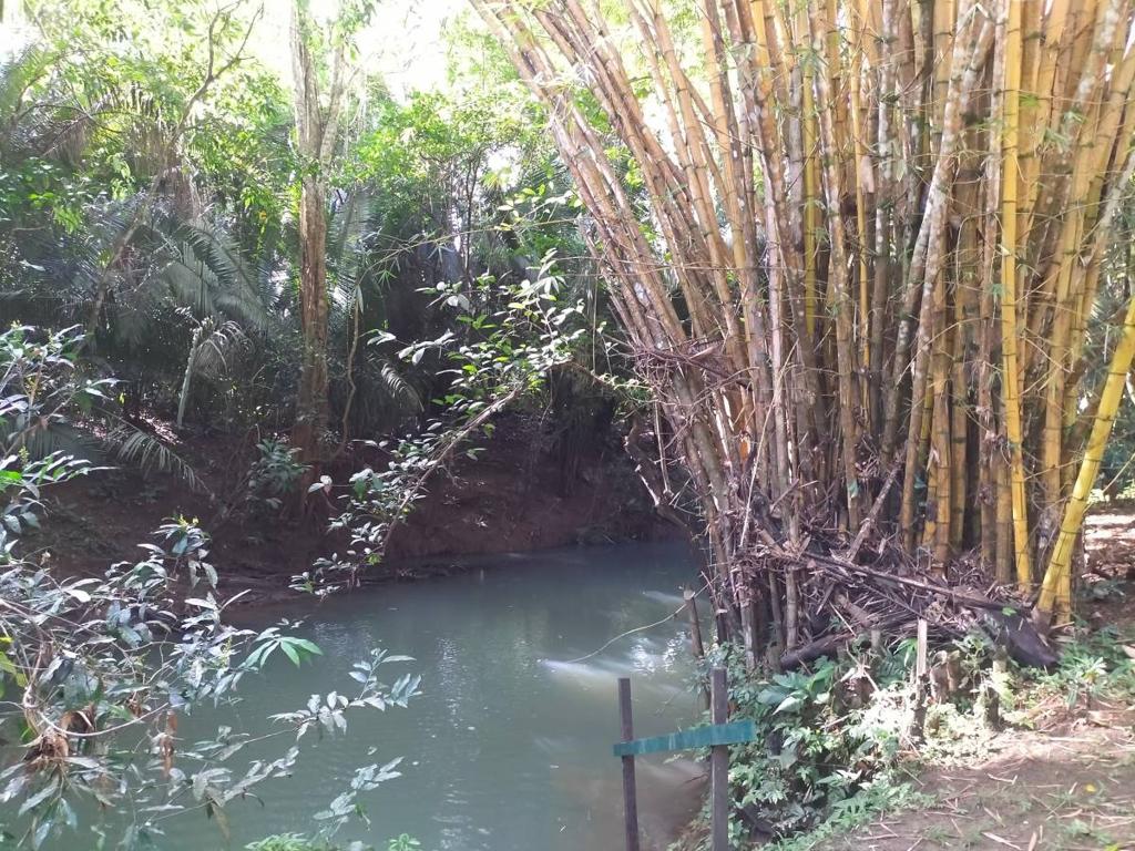 listing image with ID 65530