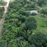 listing image thumbnail with ID 67159