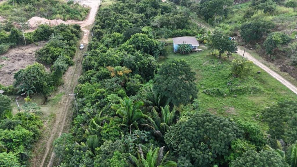 listing image with ID 67159