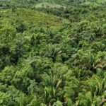 listing image thumbnail with ID 66651