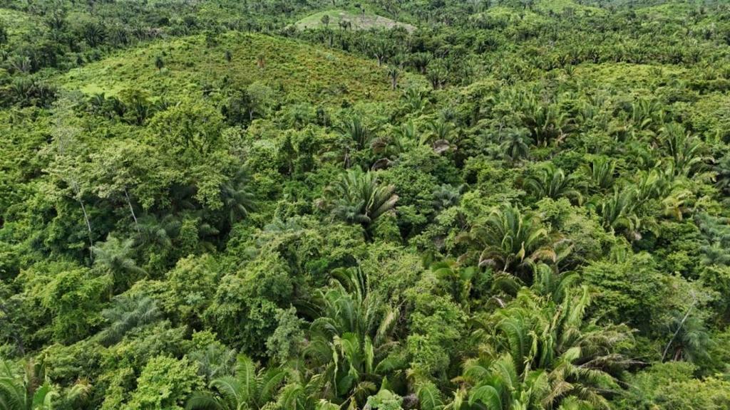 listing image with ID 66651