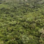 listing image thumbnail with ID 65272