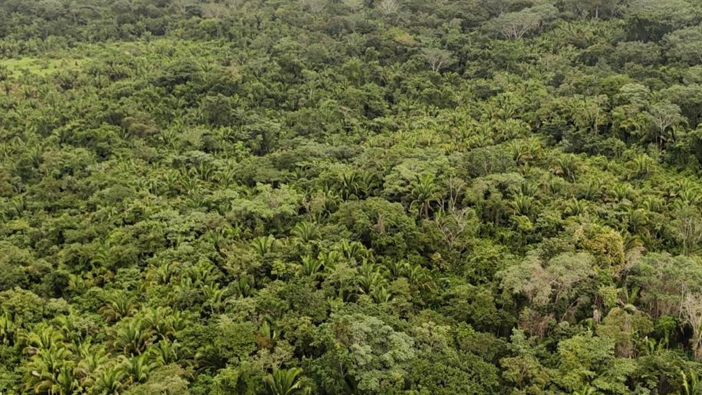 listing image with ID 65272