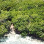 listing image thumbnail with ID 65393