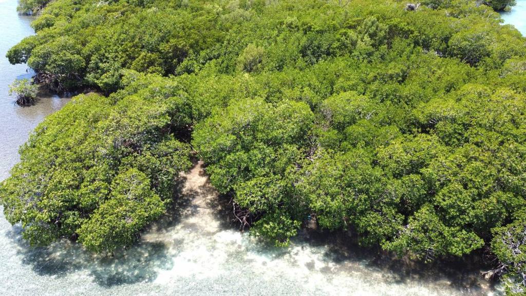 listing image with ID 65393