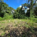 listing image thumbnail with ID 66166