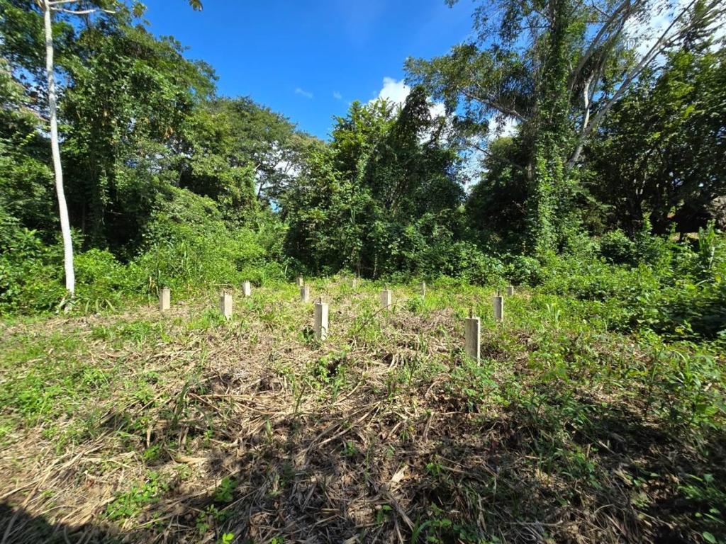 listing image with ID 66166