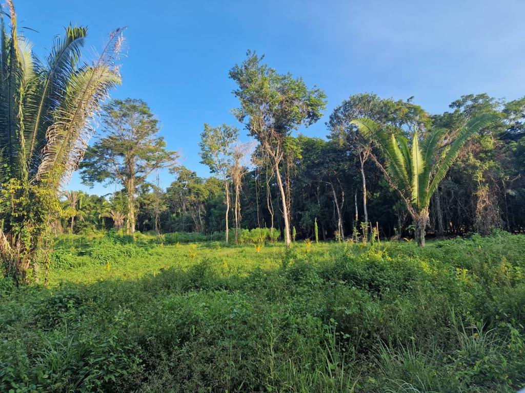 listing image with ID 64036