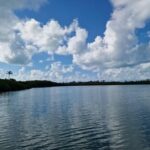 listing image thumbnail with ID 64491