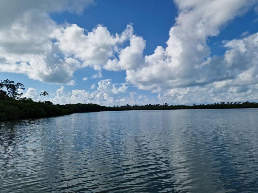 listing image with ID 64491