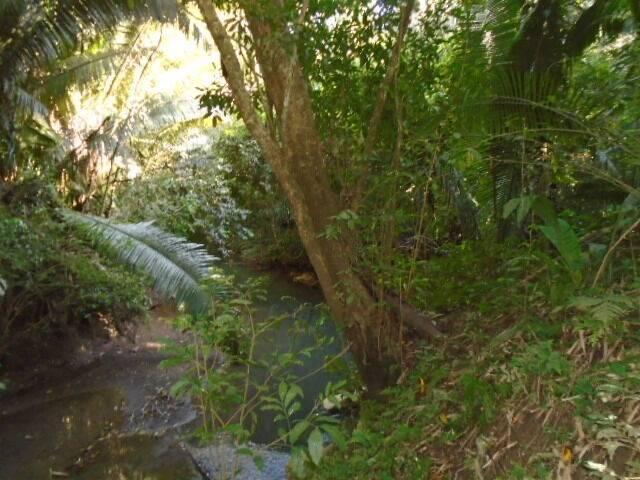 listing image with ID 64057